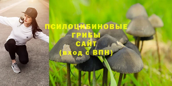 таблы Козельск