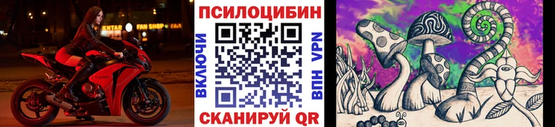 Псилоцибиновые грибы Cubensis  Ужур 